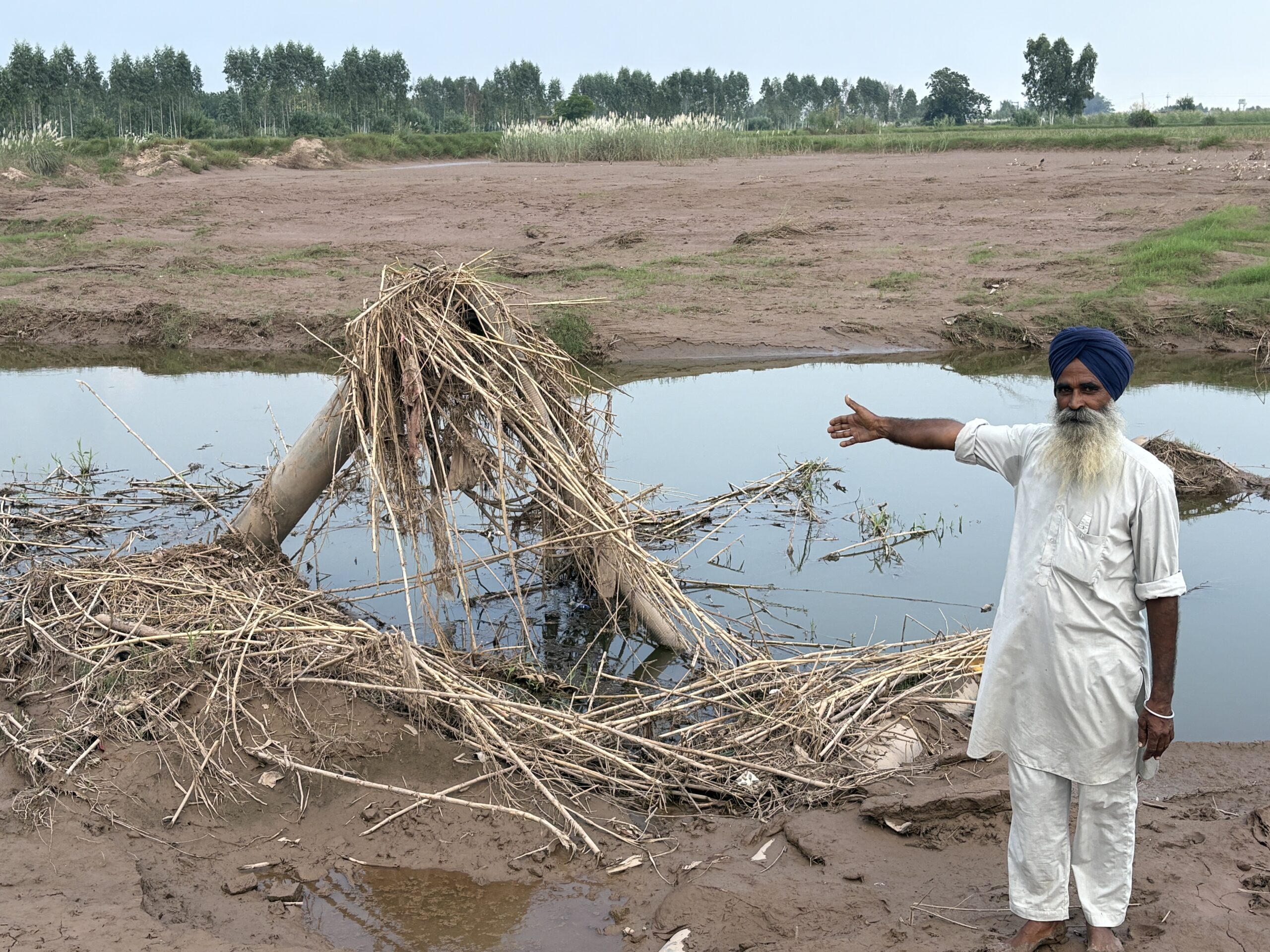 ਪਿੰਡ ਨਨਹੇੜੀ ਦੇ ਕਿਸਾਨ ਮਹਿੰਦਰ ਦੇ 11 ਏਕੜ ਫਸਲ ਤਬਾਹ, ਘੱਗਰ ਦਰਿਆ ਦੇ ਰੂਪ ‘ਚ ਬਦਲੇ ਖੇਤ